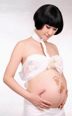 源鹿鑫牌全鹿膏