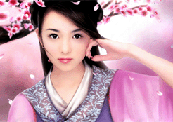 梅花鹿胎/鹿胎粉