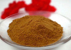 梅花鹿胎/鹿胎粉