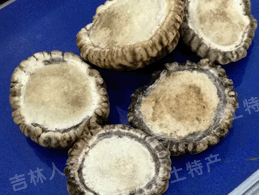 ÷��¹��ñ��(¹����)