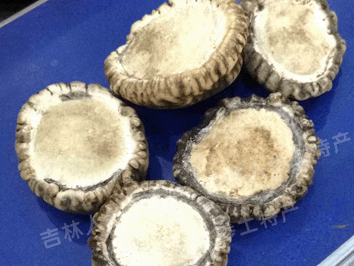 梅花鹿角帽/鹿角帽粉