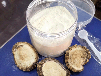 梅花鹿角帽/鹿角帽粉