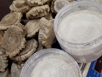 梅花鹿角帽/鹿角帽粉