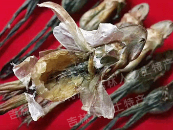 东北野生林蛙油/雪蛤油