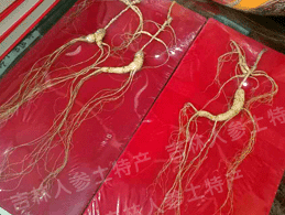 ������Ұɽ��