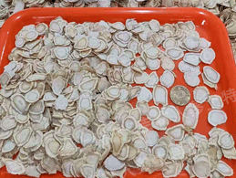 ��Ʒ�����Ƭ