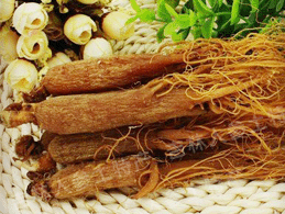 ����ɽ���