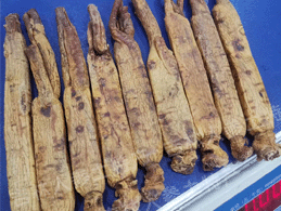 ��Ʒ���Ǹ�����