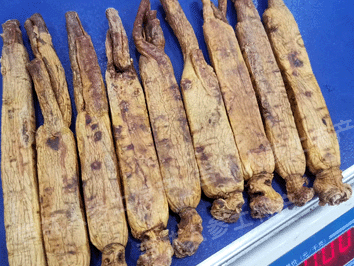 无糖高丽参(别直参)