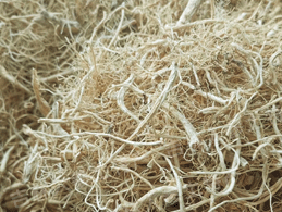 �ײ�����