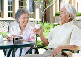 人参花适合的人群