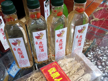 本店自己泡制人参酒