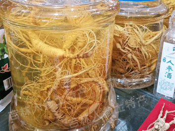 本店自己泡制人参酒