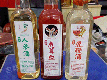 本店自己泡制人参酒