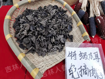 东北黑木耳(秋耳)