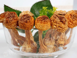 Ұ������