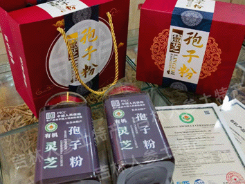 长白山破壁灵芝孢子粉