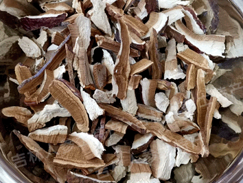 长白山野生灵芝