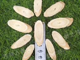 ����Ұ������