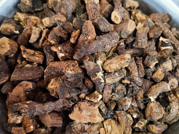 野生蒲公英根茶