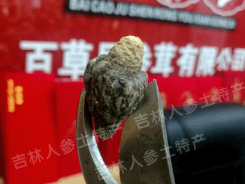 秘鲁进口黑玛卡