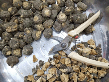 秘鲁进口黑玛卡