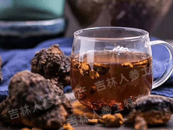 俄罗斯野生桦树茸