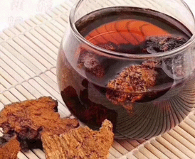 俄罗斯野生桦树茸