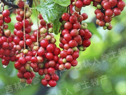 ����Ұ����ζ��