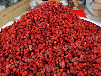 野生(北)五味子