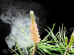 ����ɽ�ɻ���