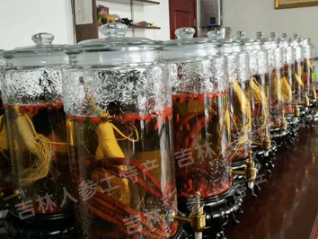 补肾壮阳滋补泡酒料（抗风湿）