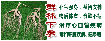 �����²�