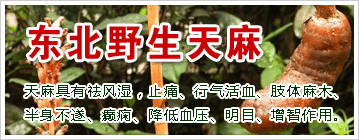 ����Ұ������